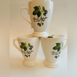 Humulus Lupus Foem Botanical Hops Blackberry Glass Mugs Der Weibliche Hopfen